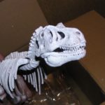 ティラノサウルス骨格モデル